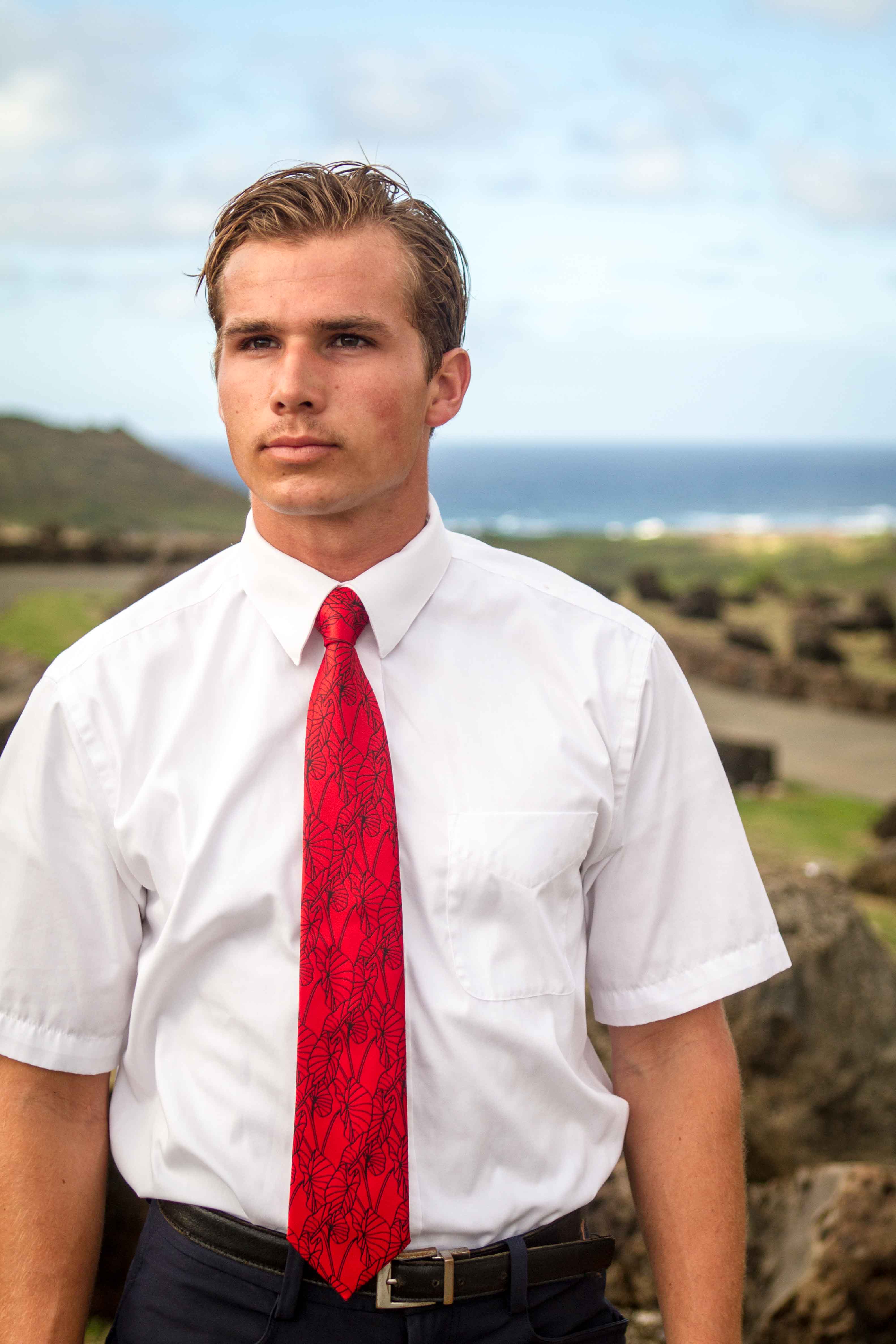 Kalo 2 Red/Black Modern Necktie